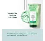René Furterer Shampooing fortifiant revitalisant Forticea - Tube de 50 ml