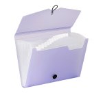 Trieur extensible horizontal 12 compartiments Propysoft - Viquel - 33 x 23,5 cm