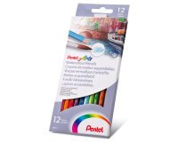 Lápices acuarelables Pentel - Caja de 12 surtidos