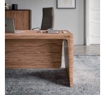 Voile de fond pour bureau Xennon L.160 cm