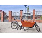 Arceau Antivol Vélo Cargo Coloris Gris anthracite