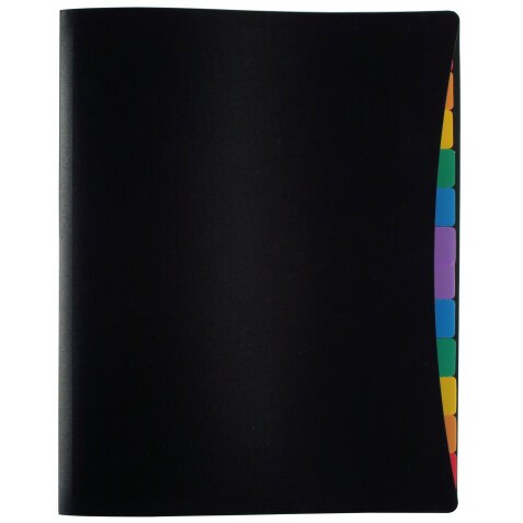 Trieur 12 compartiments à onglets Rainbow Class - Viquel-  25  x 32 x 1,2 cm