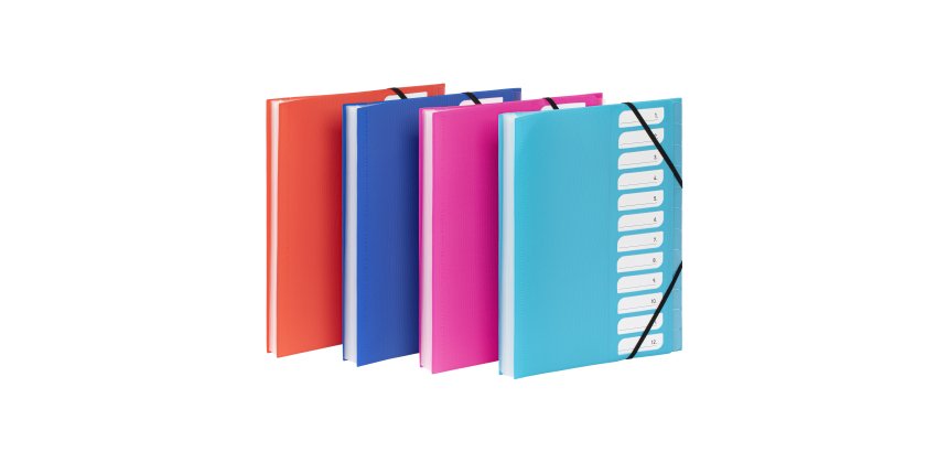 Trieur extensible 12 compartiments A4 - polypropylène - FEEL'EASY VIQUEL - coloris assortis