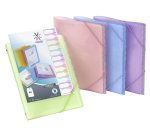 Trieur 12 compartiments A4 Polypropylène  - PROPYSOFT PERSONNALISABLE - Viquel - 25,5 x 32,2 x 1,2 cm