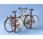 Range 2 vélos Carthagène - Modèle barrière