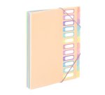 Trieur extensible 12 compartiments A4 - VIQUEL  RAINBOW PASTEL - Nude
