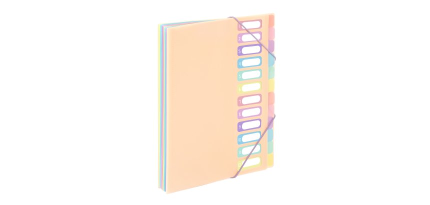 Trieur extensible 12 compartiments A4 - VIQUEL  RAINBOW PASTEL - Nude