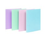Protège-documents 40 pochettes - 80 vues - A4 - polypropylène - RAINBOW PASTEL VIQUEL - Coloris assortis
