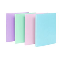Protège-documents 40 pochettes - 80 vues - A4 - polypropylène - RAINBOW PASTEL VIQUEL - Coloris assortis
