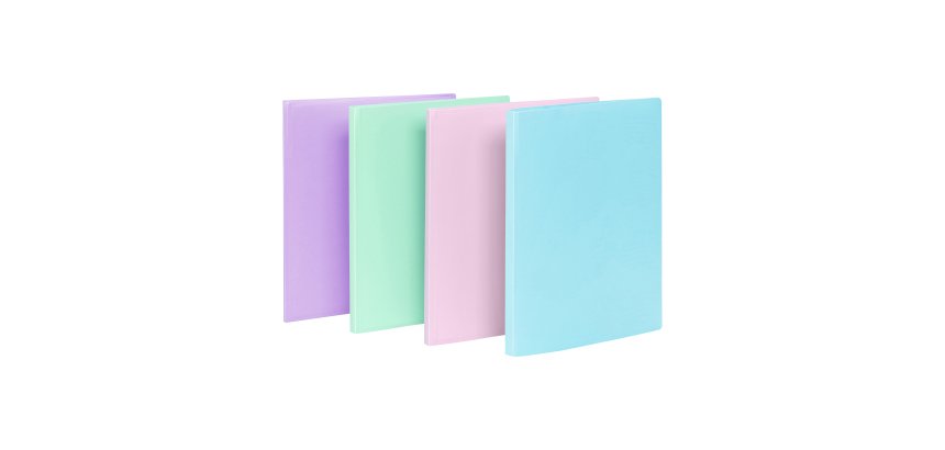 Protège-documents 40 pochettes - 80 vues - A4 - polypropylène - RAINBOW PASTEL VIQUEL - Coloris assortis