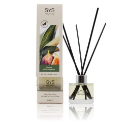 AMBIENT. MIKADO BOTANICAL SYS 100ml HIGUERA Y RAIZ ANGELICA