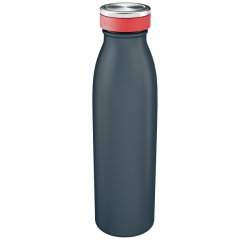 Botella de agua con aislamiento Leitz Cosy 500 ml - Gris