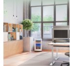 Destructora de papel de microcorte Leitz IQ OptiMax Autofeed Office 300 P5