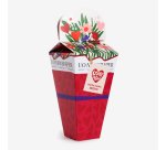 Kit ramo "Love you mucho" Pelillos de punta 
