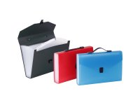 Trieur valisette 12 compartiments A4 Polypropylène - PROPYGLASS - Viquel - 38,5 x 25,5 x 6 cm