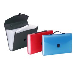 Trieur valisette 12 compartiments A4 Polypropylène - PROPYGLASS - Viquel - 38,5 x 25,5 x 6 cm