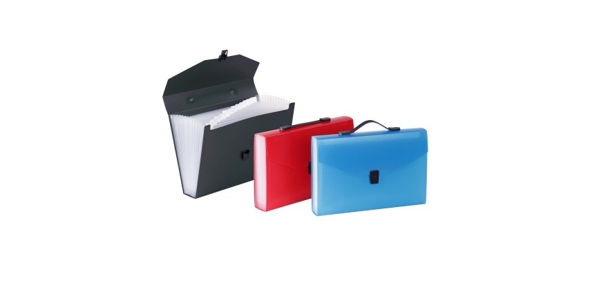 Trieur valisette 12 compartiments A4 Polypropylène - PROPYGLASS - Viquel - 38,5 x 25,5 x 6 cm