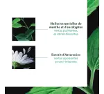 René Furterer Soothing Freshness Astera Fresh Shampoo - 200 ml Tube