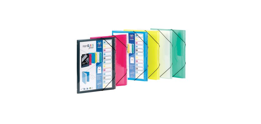 Trieur plastique personnalisable Viquel Propyglass 12 divisions - couleurs assorties translucides