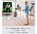 Balance Board Leitz Ergo Active