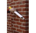 Cendrier mural simple pivotant