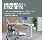 Vértebra Organización Cables Extensible