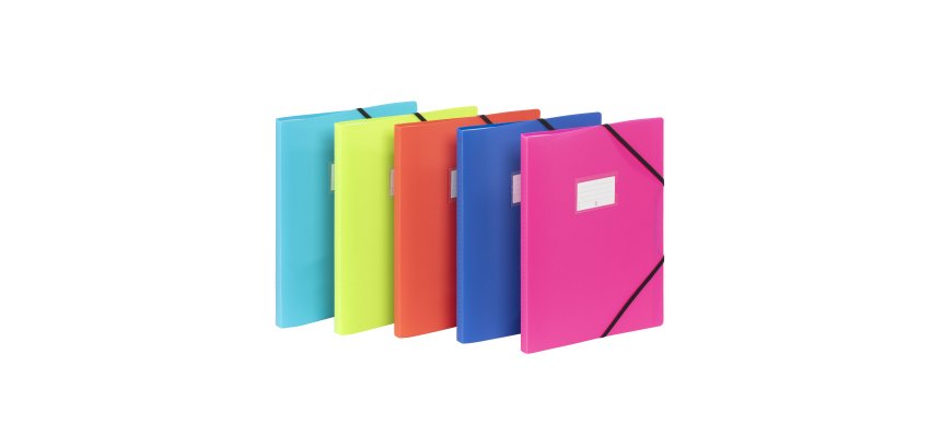 Protège-documents 30 pochettes - 60 vues  -  A4 - polypropylène - FEEL'EASY VIQUEL - Coloris assortis