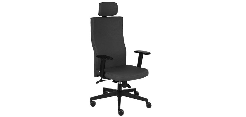 Team Plus HD black
