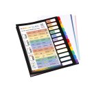 Trieur plastique extensible 12 onglets "School Case" Viquel Rainbow Class