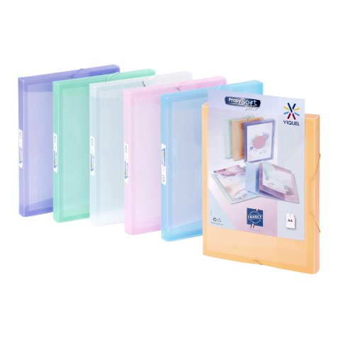 Boîte de classement COOLBOX PERSO A4 Dos 3 cm - Polypropylène - PROPYSOFT - Viquel - 25 x 33 x 3 cm