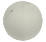 Balón de asiento antideslizante Leitz Ergo Active 65cm