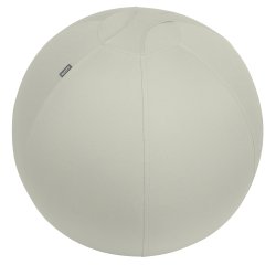 Balón de asiento antideslizante Leitz Ergo Active 65cm - Gris