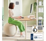 Balón de asiento antideslizante Leitz Ergo Active 75cm
