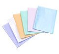 Protège-documents Propyglass Viquel  polypropylène translucide A4 20 pochettes - 40 vues