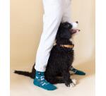 Calcetines "Amor Perruno" Azul talla 36-41
