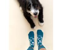 Calcetines "Amor Perruno" Azul talla 42-46
