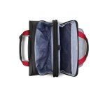 Trolley Piloto 2 compartimentos Proteccion PC 17,3" Delsey