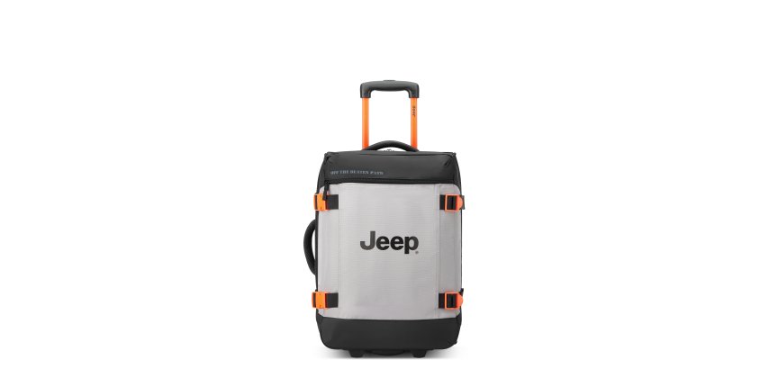 Sac de voyage trolley 55 cm JS007C gris