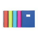 Protège-documents 60 pochettes - 120 vues spirales - A4 polypropylène - FEEL'EASY VIQUEL - coloris assortis