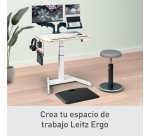 Pequeño panel organizador de escritorio Leitz Ergo, 42 x 25 cm