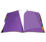 Trieur 12 compartiments à onglets Rainbow Class - Viquel-  25  x 32 x 1,2 cm