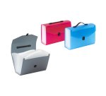 Trieur valisette extensible 24 compartiments propyglass - Viquel - 38,5 x 25,5 x 12 cm