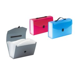 Trieur valisette extensible 24 compartiments propyglass - Viquel - 38,5 x 25,5 x 12 cm