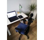 Ergonomische bureaustoel COCO stof en mesh, 3D-armleuningen, hoofdkussen, synchrone mechanisme, zwarte poten