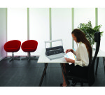 Encuadernadora de espiral metálica Fellowes Metal 50R