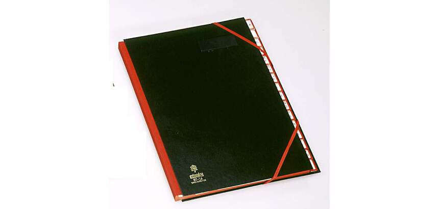 Trieur carte Extendos 16 divisions onglets alphabétiques coloris noir