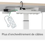 Bureau Leitz électrique assis-debout compact  L 80 x P 60 cm + Organiseur de bureau avec support pour ordinateur portable Leitz Ergo