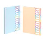 Trieur Extensible 12 compartiments A4 - Rainbow Pastel - Viquel - 25,5 x 32 cm