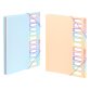 Trieur Extensible 12 compartiments A4 - Rainbow Pastel - Viquel - 25,5 x 32 cm