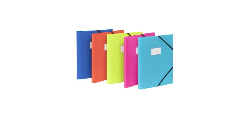 Protège-documents 40 pochettes - 80 vues  -  A4 - polypropylène - FEEL'EASY VIQUEL- Coloris assortis